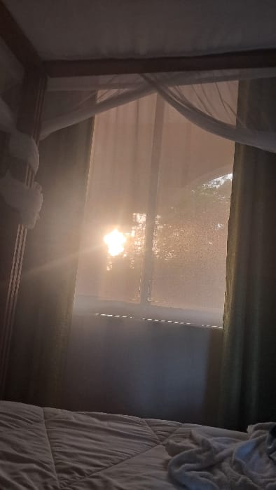 The image captures an indoor scene, likely a bedroom, bathed in strong, warm sunlight streaming through a window. On the left side of the frame, a sheer, white fabric, possibly a mosquito net or curtain, is draped over a dark wooden bed frame, which extends along the bottom left. The fabric appears soft and somewhat translucent, catching the light.
The central feature of the image is the window, through which a brilliant burst of sunlight radiates. The sun itself is visible as an intense, bright circle of light, creating significant lens flare and a hazy, glowing effect across the windowpanes. The window glass appears somewhat textured, possibly due to dust, condensation, or a frosted effect, and subtle horizontal divisions are visible. Through the bright haze and glare, faint outlines of what appears to be trees or foliage can be discerned outside, suggesting a natural environment.
To the right, a bed is partially visible, covered with rumpled white bedding, possibly a comforter or duvet. The texture of the bedding suggests it has been recently used or is inviting. The interior of the room, particularly the bedding and the wall adjacent to the bed, is darker in comparison to the intensely lit window, creating a strong contrast. A darker, possibly green or blue, horizontal blind or curtain hangs above the window.
The lighting strongly suggests either early morning (sunrise) or late afternoon (sunset) due to the low angle and warm color of the sunlight. The overall atmosphere is serene and bright, evoking a sense of calm and warmth. No text is visible in the image.