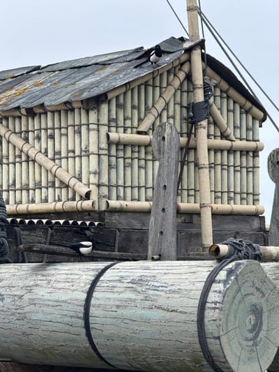 The image shows a close-up of a raft-like structure, possibly a prop or display, constructed primarily from bamboo and weathered wood. The bamboo is arranged vertically to form the walls of a small, hut-like structure, with diagonal bamboo poles serving as reinforcement and decorative elements. The roof of the hut appears to be made of weathered, overlapping shingles, with some patches of orange lichen or moss.
A small bird, identifiable as a magpie due to its black and white plumage, is perched on the roof of the bamboo structure. Another magpie is visible on a wooden beam below the bamboo hut. Thick ropes are used to lash the bamboo and wooden elements of the raft together. The raft itself appears to be made of large, weathered logs painted a pale greenish-white, with visible wood grain and texture. The overall scene is outdoors, with a cloudy, overcast sky serving as the background. There are no discernible elements that specifically place this scene within the city of Santander, Spain.
