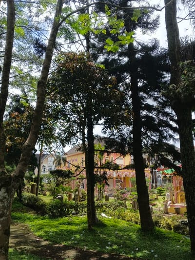 The image depicts a heavily landscaped outdoor area in ឃុំ ផាត់សណ្ដាយ, Cambodia, featuring a foreground of dense foliage and prominent tree trunks. A dirt or shaded path is visible in the lower left. The midground consists of a meticulously maintained garden with lush green grass, various potted plants, stone statues, and ornamental shrubs. One light-skinned individual is seated on a yellow structure, possibly a bench, in the right midground, facing left. In the background, several multi-story buildings are visible. To the left is a white building with balconies and a dark roof. Dominating the central and right background is a large, ornate building complex characterized by yellow and pink facades, intricate decorative arches, columns, and rooflines with green and red accents, consistent with traditional Southeast Asian architectural styles. The scene is illuminated by bright daylight.