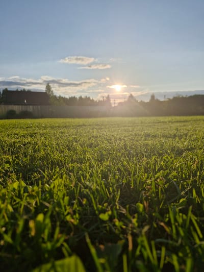 An outdoor, low-angle shot captures a close-up of a lush, green lawn. The grass is illuminated by the warm glow of the setting sun, which is partially obscured by clouds and peeks through in the upper-middle portion of the frame, casting a lens flare. In the background, a wooden fence stretches horizontally across the image, separating the lawn from a line of trees and a dark-roofed building. The sky above is a soft blue with scattered white clouds. The scene is set in the city of Sorochkino, Russia.