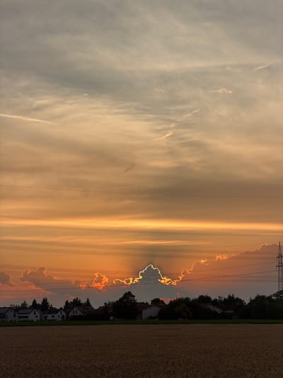 This media file depicts a scenic view of a sunset in Poing, Germany. The image is oriented vertically, showcasing a dramatic sky filled with clouds illuminated by the setting sun. On the left side, the sky is a soft gradient of pale gray and orange, with wispy clouds scattered across it. As the image moves to the right, the sky intensifies in color, transitioning to vibrant oranges and yellows, particularly around a distinct cloud formation outlined by the sun's glow.
Dominating the right half of the image are several parallel power lines, supported by a tall metal pylon visible in the upper right corner. These lines cut across the colorful sky, adding a man-made element to the natural landscape. Below the power lines, a line of trees forms a dark silhouette against the horizon, with a row of houses peeking through the foliage. The houses appear to be of a modern European style, with white walls and red or gray roofs. To the far right, a field of dry wheat or grain extends upwards, suggesting a rural or semi-rural setting.
The time of day is clearly sunset, indicated by the warm, intense colors in the sky and the long shadows that would be cast if the sun were fully visible. The weather appears clear, with the clouds adding texture and color to the sky rather than obscuring the sun. The overall mood is one of peacefulness and natural beauty, enhanced by the dramatic lighting. There is no visible text in the image.