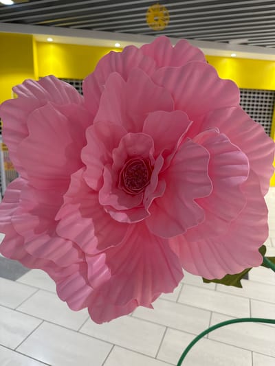 This media file features a large, artificial pink flower as the primary subject. The flower is composed of many layered petals, creating a voluminous and textured appearance. The center of the flower is detailed with smaller, textured elements. The flower is presented against a backdrop that includes a yellow wall with subtle lighting, a section of striped vertical panels, and a wall tiled with white rectangular tiles. A thin green wire or stem element is also visible at the top right of the image.

The lighting suggests it is daytime, possibly indoors given the artificial nature of the flower and the tiled background. The setting appears to be a decorative display, perhaps in a public space or a shop. There are no people visible in the image, and no specific activity is taking place other than the static display of the flower. The environment does not provide strong clues about the weather or a specific time of day beyond being illuminated. No text is clearly visible in the image. The overall impression is one of a decorative, possibly whimsical, exhibit. The location context of Slitu, Norway, does not provide further specific details that can be inferred from the visual elements alone.