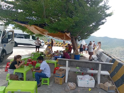 The image depicts a scene at a roadside eatery in Vinh Hai, Vietnam. A large tree with dense green foliage provides shade over a seating area with brightly colored plastic tables and chairs. Several people are present, some seated at tables, others standing or walking.
In the foreground, a woman with her hair tied back in a ponytail is seated at a green table, looking at her phone and holding a coconut. A man in a blue checkered shirt and jeans is seated opposite her, also looking at his phone. Two coconuts are on their table. In front of them are more green tables and red chairs.
Further back, a stall is set up with various goods, including drinks and snacks. A woman in a patterned dress and a hat is seated at a blue table, seemingly attending to the stall. Other individuals are visible in the background, including a man standing near a white van and a group of people near a concrete bench.
Two white vans are parked on the left side of the image. The ground is paved with concrete. A yellow and black striped barrier runs along the edge of the area, overlooking a body of water and hills in the distance. The overall impression is a casual gathering spot, likely a rest stop for travelers.