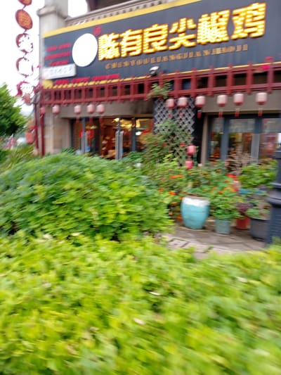The image shows a blurred outdoor scene in Shuangfu, China. A building with a yellow Chinese character sign, "CUILIANGJIANZHOUJI", is partially visible. A red trellis with small white lanterns runs vertically along the building's side. Plants, including some in pots with red flowers, line the sidewalk. A large, vibrant green bush dominates the right side of the frame. The image is blurry due to motion.