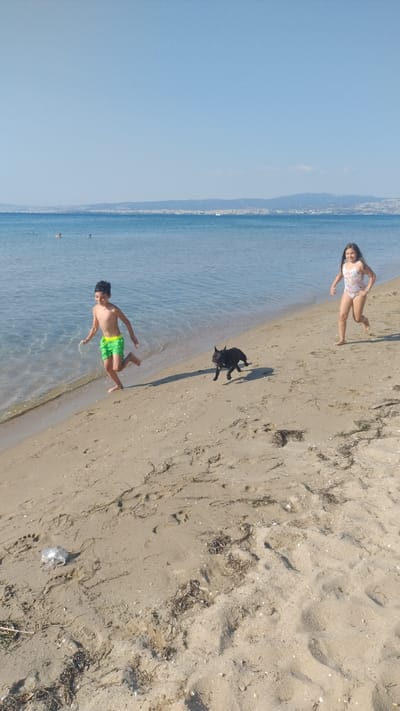 The image shows a beach scene in Neoi Epivates, Greece. The sun is shining, indicating it is daytime, and the weather appears to be clear and warm, typical for a beach environment. The scene features a body of clear, blue water and a sandy beach.

There are two people and a dog in the image. In the foreground, a young boy wearing green swim trunks is standing at the edge of the water. He appears to be walking or running into the sea, with his arms outstretched. Behind him, further up the beach, a black dog is standing, looking towards the boy. In the background, on the sand, a woman wearing a patterned swimsuit is standing. She is leaning slightly and appears to be posing.

In the distance, a coastline is visible, with buildings and hills suggesting a populated area beyond the beach. The water is calm, with gentle waves lapping at the shore. The sand has footprints and some scattered debris, such as dried seaweed and small shells. The overall mood of the image is relaxed and summery, capturing a moment of enjoyment at the beach. There is no visible text in the image.