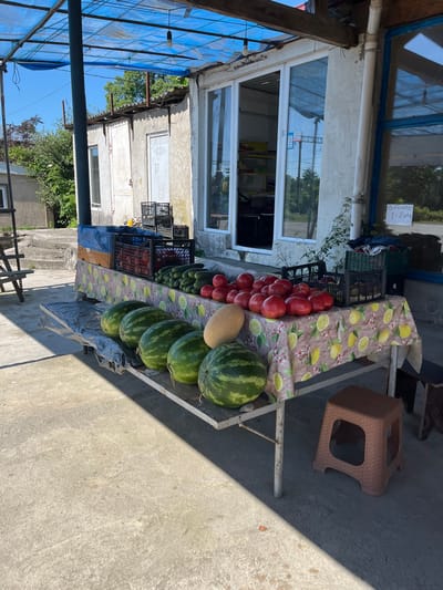 A roadside stand in Ureki, Georgia, displays fresh produce under a blue tarp. Watermelons are arranged in a row on a table covered with a cloth featuring a lemon and lime pattern. Behind the watermelons, an assortment of tomatoes and cucumbers is displayed in black crates. A light-colored melon is also visible. The stand is situated on a concrete surface, with a brown plastic stool placed to the right. The background shows a building with windows and a blue frame, and vegetation and trees are visible. A sign with Georgian text and numbers "1-2" is attached to the building. The scene is illuminated by sunlight, creating shadows on the ground.