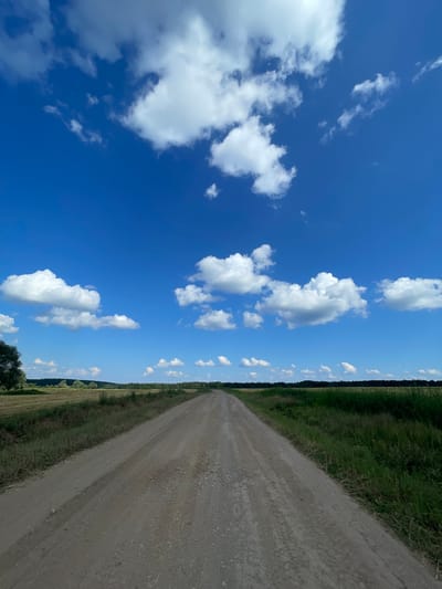 A high-angle, full shot captures a dirt road stretching into the distance through a rural landscape under a bright blue sky filled with scattered white clouds. The road, slightly textured with gravel, is the dominant feature in the foreground, leading the eye toward a distant treeline that separates fields from the sky. The fields on either side of the road appear cultivated, with one side showing dry, harvested crops and the other displaying lush green vegetation, possibly corn or tall grass. A lone tree is visible on the far left, its dark green foliage contrasting with the lighter tones of the fields. The overall scene conveys a sense of open space and a warm, sunny day in the countryside, likely in the vicinity of Perevoznoe, Russia.