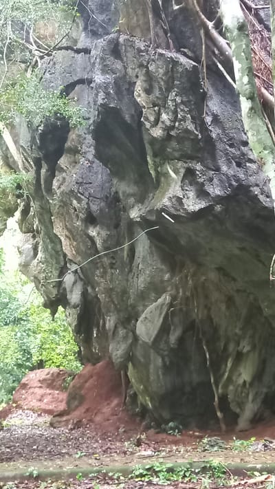 The image depicts a rock overhang in Ban Pak Ra, Thailand. The rock face is gray and textured, with some green vegetation at the bottom left and bottom right. A white wire hangs down the rock face. To the right, the ground is visible with reddish soil and more green vegetation. A tree branch is visible in the upper left corner.