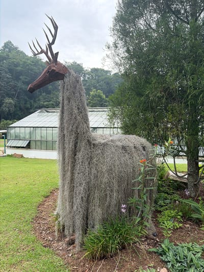 The image depicts an outdoor scene in Pong Yaeng, Thailand, likely within a botanical garden or park. The central subject is a whimsical sculpture of a deer, crafted from metal for its head and antlers, and adorned with a full, draping coat of Spanish moss. This mossy covering gives the sculpture a unique, almost ethereal appearance.
The sculpture stands on a bed of mulch, with lush green grass surrounding it. In the background, a large greenhouse with a glass roof and metal framing is visible, suggesting a cultivated environment. To the right of the sculpture, a mature tree with dense, green foliage stands prominently, casting shadows. Small, vibrant orange flowers bloom on a slender plant near the base of the tree and beside the sculpture. The sky is overcast, contributing to the soft, diffused lighting of the scene. No people are present in the image, and the focus is entirely on the art installation and its natural surroundings.