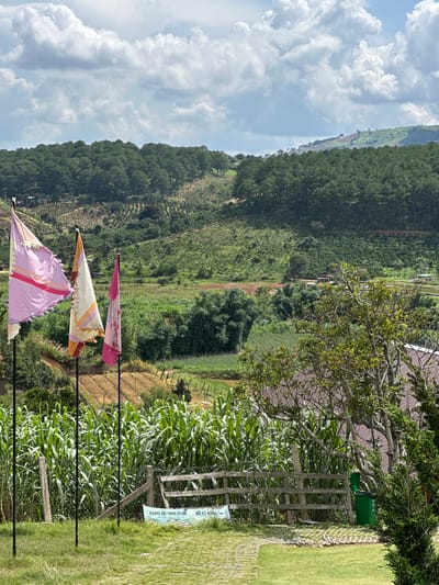 This media file captures a scenic view of a rural landscape in Thôn 5, Vietnam. The scene is dominated by rolling green hills covered in dense forest and agricultural fields. In the foreground, three colorful flags, primarily pink and yellow, are mounted on poles, fluttering gently. Beyond the flags, a neatly manicured lawn leads to a rustic wooden fence and a patch of tall green corn stalks. Two green trash bins are visible behind the fence, near a building with a dark roof. A pathway constructed with interlocking paving stones runs alongside the lawn and fence.
The sky is partly cloudy with dramatic white clouds against a bright blue backdrop, suggesting it is daytime. The overall atmosphere is peaceful and serene, highlighting the natural beauty of the location.
There is visible text on a sign attached to the wooden fence, which appears to be in Vietnamese. One line reads "RUONG BAC THANG TU BAC", and another line above it reads "DOI CO HONG" with an arrow pointing to the right.