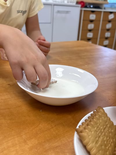 This image is located in the Gilboa Regional Council, Israel. A person's left hand is shown dipping a light brown, multi-pointed cookie into a white ceramic bowl filled with white liquid. The person wears a light yellow t-shirt with a dark emblem on the left chest, and their right arm and hands are partially visible in the mid-left background. Another white ceramic bowl, positioned in the lower right, contains several light brown, rectangular biscuits with ridged edges. The activity is taking place on a light brown wooden table surface. The blurred background features white kitchen-style cabinetry on the left and a wooden cabinet with multiple small drawers on the right.