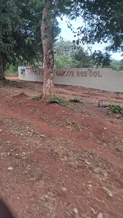 A sign for "Senior School" stands by a dirt path next to a tree. The sign is partly obscured by the tree trunk. Reddish-brown soil covers the ground, littered with small rocks and debris. Trees with green foliage are visible in the background and on the left, offering partial shade. The sign also says "Welcome". The image appears slightly blurry.