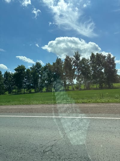 The image captures a roadside view on a sunny day. In the foreground, a cracked asphalt road with a white line runs horizontally across the bottom. Beyond the road, a strip of gravel is visible, followed by a vibrant green grassy field. A dense line of trees, primarily birches with their characteristic white bark, stands tall against the horizon. The background is dominated by a bright blue sky with scattered white clouds, some of which are wispy and delicate, while others are larger and more defined. There are no people or animals visible in the scene. The location is identified as Stolyarovka, Russia.