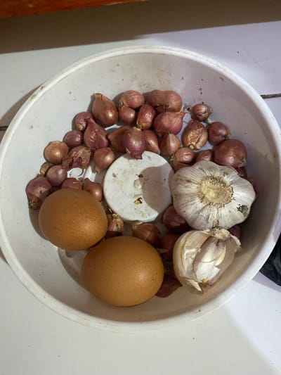 A top-down shot shows a white bowl filled with ingredients, likely for cooking. The bowl contains two brown eggs, a whole head of garlic, and a bulb of garlic that has been partially separated into cloves. Surrounding these items are numerous small, red shallots. A white plastic disc is also visible in the center of the bowl, possibly a lid or divider. The ingredients are placed on a light-colored tiled surface, with a sliver of a dark object visible at the top edge of the bowl. The lighting suggests an indoor setting, possibly a kitchen. There is no visible text.