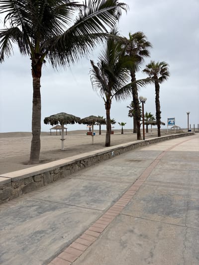 This is a ground-level, eye-level, static, medium shot of a beach promenade in San Antonio, Peru. The scene depicts a sandy beach with several palm trees lining the left side of the frame. A concrete walkway with a stone wall borders the sand. In the distance, there are thatched umbrellas and some structures. The sky is overcast, and the overall impression is one of a cloudy day at the beach.