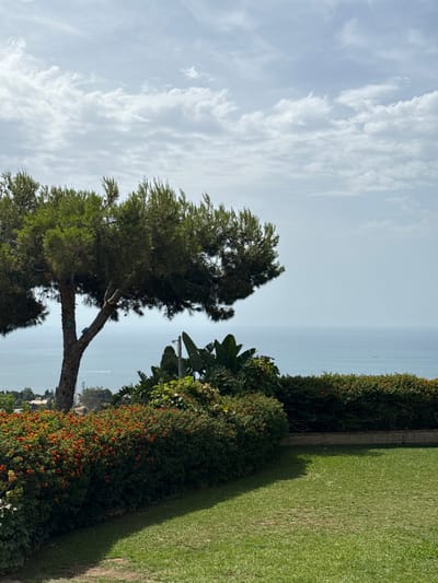 This media file depicts an outdoor scene with a focus on nature and a distant view of the sea. The primary subjects are a large evergreen tree with a distinctive trunk and branches, lush green bushes, and a well-maintained lawn. The setting appears to be a garden or park, possibly part of a residential area given the presence of what looks like a security camera mounted on a pole.

The scene is bathed in natural light, suggesting it was captured during the daytime. The sky is partly cloudy with wispy white clouds against a pale blue backdrop, indicating fair weather. The sea is visible in the background, appearing calm and extending towards the horizon. A small boat or vessel is visible on the water, adding a touch of activity to the otherwise tranquil vista.

Notable details include a line of flowering bushes with small orange and yellow blossoms along the edge of the greenery, adding a splash of color to the scene. The grass is a vibrant green, suggesting it's well-watered and cared for. The orientation of the image is vertical, with the sky occupying the upper portion and the sea and land features below. There is no visible text in the media file. The overall impression is one of peacefulness and natural beauty. The location context of Benalmádena, Spain, suggests a Mediterranean coastal environment.