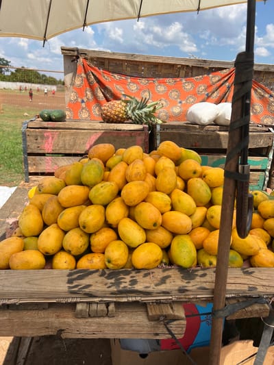 This image captures a vibrant outdoor market stall, likely in Lusaka, Zambia, under a bright blue sky dotted with white clouds. The scene is dominated by a large, abundant display of ripe, yellow and yellowish-green mangoes, piled high in rustic wooden crates that form part of the stall's structure.

To the left of the mangoes, a single pineapple is visible, resting near a piece of orange fabric adorned with a distinctive circular pattern, possibly a traditional African print, which serves as a backdrop. Further left, two dark green, melon-like fruits are placed on a lower surface. A sturdy, dark wooden beam stretches diagonally across the upper frame, appearing to be a structural element of the stall or a carrying pole. In the upper left, a portion of a white umbrella or canopy is visible, providing shade.

In the background, beyond the immediate stall, an open green field stretches out. Small, distant figures of people can be seen on the field, along with some red markers, suggesting a recreational area or sports ground. The daylight is bright, indicating a sunny day. On a partially obscured blue and red box in the upper right background, faint text appears to show "Oml", possibly part of a volume measurement like "100ml". The image conveys a lively market atmosphere centered around fresh produce.