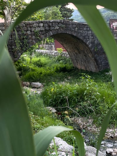 The image captures a stone arch bridge in Podostrog, Montenegro, framed by large, out-of-focus green leaves in the foreground. The bridge, constructed from rough-hewn stone blocks, shows signs of age with moss and vines growing on its surface. Beneath the arch, a dry or low-water creek bed is visible, filled with rocks and overgrown with lush green vegetation. Further back, the landscape rises into lush, tree-covered hills, with a glimpse of a building or structure partially obscured by the foliage. A banner with text, partially visible on the right side of the image, suggests the presence of a nearby establishment or event.