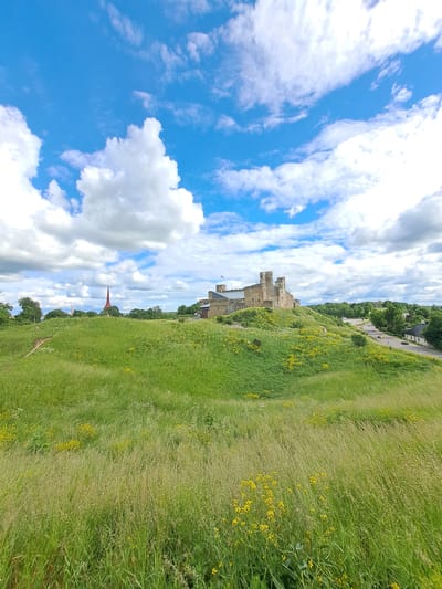 A panoramic, wide-angle shot depicts the Rakvere Castle in Rakvere, Estonia, under a partly cloudy blue sky. The castle, made of stone and appearing weathered, sits atop a grassy hill dotted with yellow wildflowers. A winding path is visible on the left side of the hill, leading towards the castle. In the distance, a red spire pierces the sky, and a road with some vehicles and buildings can be seen to the right of the castle. The foreground is dominated by a field of tall green grass, with some yellow flowers scattered throughout. The overall scene conveys a sense of historical grandeur amidst a natural, bucolic setting.