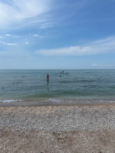 The image depicts a beach scene with the sea and sky. The foreground is a sandy beach covered in small shells. To the left of the beach is the calm, turquoise sea. In the water, several people are visible. Closer to the shore, a person stands in the water, facing away from the camera. Further out, a group of people are on paddleboards. The sky above is a clear blue with some wispy white clouds. The sun appears to be shining, suggesting it is daytime. The scene appears peaceful and recreational. There is no visible text in the image.