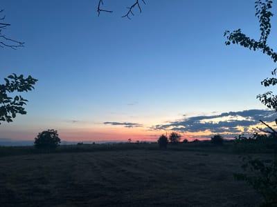 This image depicts a rural landscape at dusk, likely in or around the village of Golyam Chardak, Bulgaria. The sky transitions from a deep blue overhead to hues of pink, orange, and pale yellow near the horizon, indicating the sunset. Silhouetted against this colorful sky are scattered trees and the distant outlines of hills or mountains. The foreground is a field of mown hay, the dry grass lying in rows, suggesting recent agricultural activity. Several tree branches, some with leaves, frame the top and sides of the image, their dark silhouettes contrasting with the illuminated sky. There are no people or animals visible in the scene. The overall atmosphere is tranquil and natural, characteristic of the Bulgarian countryside during twilight.