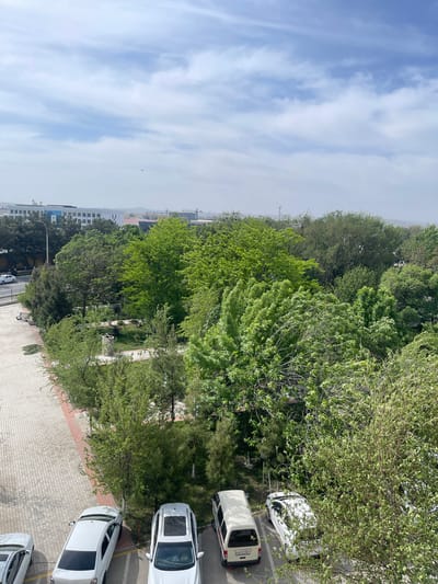 The image shows a view from an elevated position in Navoiy City, Uzbekistan. The sky is partly cloudy. In the foreground, there are trees and several white vehicles parked on a paved area. Beyond the trees, buildings can be seen in the distance. A small park area is visible among the trees.