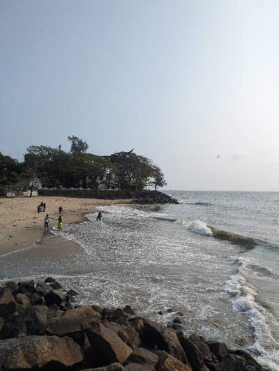 The image presents a sunlit coastal scene in Kochi, India. In the foreground, a prominent collection of large, irregular dark grey and brown rocks forms a breakwater, some exhibiting patches of green algae. The midground features the sea with light green-grey water, characterized by numerous white-foamed waves breaking against the rocky foreground and the sandy shore.
A light brown sandy beach stretches from the left midground, curving towards the right distance. Approximately 10-15 individuals are dispersed across the beach and within the shallow surf. Several people, including at least two children, are observed wading in the incoming waves, with water reaching up to their ankles or knees. One person is distinctly visible standing in the shallow water, wearing a bright green garment. Other individuals are walking on the drier sand further from the waterline.
The background along the beach is dominated by a dense line of mature green trees, some appearing tropical. A light-colored building with a visible roof is partially discernible behind these trees on the left side of the frame. Faint structural outlines or a wall are also visible along the upper treeline towards the right. The sky occupies the upper two-fifths of the image, appearing clear and a pale blue, transitioning to a brighter, slightly hazy white-blue towards the right horizon. A small dark speck, possibly a bird, is present in the upper right sky.
