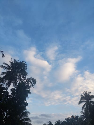 A vertical, low-angle shot captures a partly cloudy, blue sky over Samal, Philippines. Silhouetted against the sky on the left are the fronds of a coconut palm tree, interspersed with dark green foliage. A single, tiny black speck, possibly an airplane, is visible in the upper center of the frame. On the right, another coconut palm tree is silhouetted. The bottom of the image shows a dense line of silhouetted palm trees and other foliage, with a thin power line visible stretching horizontally across the lower right quadrant. The lighting suggests it is either early morning or late afternoon.