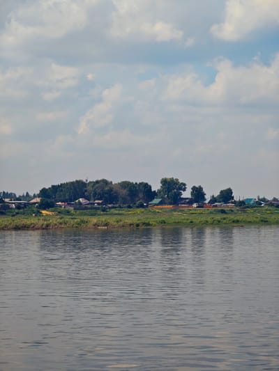 The image captures a tranquil waterscape with a distant village situated along a verdant embankment. The foreground is dominated by the rippling surface of a body of water, reflecting the soft light of the sky. The water exhibits a slightly muted, grayish-blue hue with gentle waves creating horizontal patterns.
Beyond the water, a narrow strip of land forms the shoreline, covered in lush green grass and reeds. A few small, light-colored logs or debris are scattered along the water's edge.
The midground features a settlement nestled amongst trees and low-lying structures. The village appears to be in Pogodaevo, Russia, characterized by a collection of houses with pitched roofs in various colors, including green, brown, and white. Some of the buildings are partially obscured by the dense foliage of mature trees. A telecommunications tower is visible rising above the trees in the distance. The landscape appears residential and rural, with elements suggesting a quiet, established community.
The background is defined by a cloudy sky. The clouds are a mix of white and gray, with patches of blue sky visible between them, indicating a partly cloudy day. The overall atmosphere of the image is serene and peaceful, portraying a typical day in a riverside Russian village.