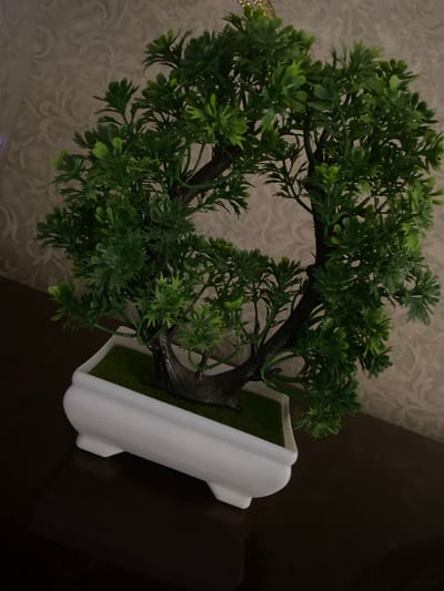 The image shows a close-up, high-angle shot of an artificial bonsai tree in a white planter. The tree is dark green and has a somewhat rounded canopy. The planter has a sleek, modern design and contains green artificial grass at its base. The bonsai tree is placed on a dark, reflective surface, possibly a table, which is casting a faint reflection. The background is a patterned wallpaper with a light, muted color and an ornate design. To the left of the planter, a glittery gold ornament is partially visible, attached to the bonsai. The lighting is subdued, suggesting an indoor setting, possibly in the evening. There is no visible text in the image. The scene is still and domestic, with no people or specific events depicted. The setting appears to be a home interior.