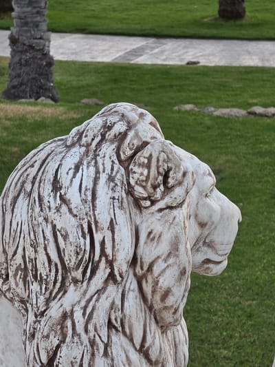 The image shows a weathered, light-colored statue of a lion's head and mane, viewed from the side and from behind. The statue is placed outdoors, with a green lawn in the background. In the far background, a paved pathway and a palm tree trunk are visible. The lion statue has textured detailing, with dark brown accents emphasizing the mane and facial features. The lighting suggests it is daytime.