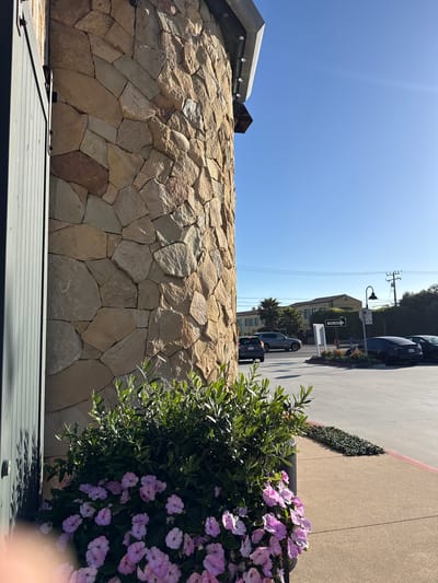 In Malibu, California, a stone-clad building stands to the left of the frame, its rough-hewn stones catching the sunlight. Adjacent to it, a planter overflows with lush green foliage and a profusion of delicate pink flowers. Beyond the building, a paved area is visible, with several cars parked. A "ONE WAY" sign points to the right, indicating traffic direction. In the background, buildings and palm trees suggest a commercial or residential area. The sky is a clear, bright blue.
