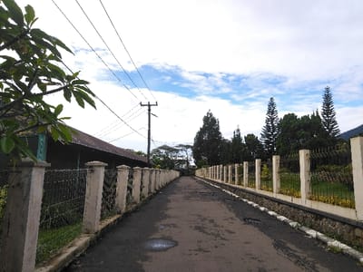 The image captures a straight, narrow asphalt road extending into the distance under a partly cloudy sky in Hafjell, Norway. The road surface exhibits wear, including potholes and multiple dark, irregular wet patches. On the left side, a light-colored concrete post and wire mesh fence runs parallel to the road, partially obscured in the foreground by dark green foliage. Behind this fence, a long, low building with a dark, corrugated metal roof is visible. Further down the left side, a utility pole supports multiple overhead wires against the sky. On the right side of the road, a decorative fence composed of light-colored concrete posts and black wrought iron sections sits atop a stone wall with a white painted curb at its base. Behind this fence, a landscaped area features green grass, shrubs, and various trees, including tall conifers. A distant mountain or hill is faintly discernible on the far right horizon, above the treeline. No individuals, vehicles, or animals are present in the scene.