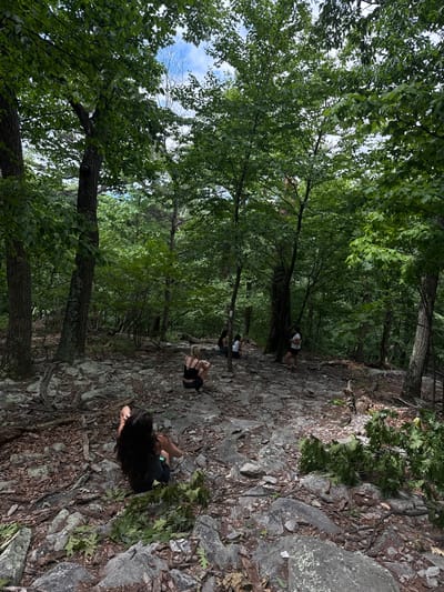 In Edgemont, a group of individuals are hiking on a rocky trail within a dense forest. The terrain is characterized by uneven rocks, fallen leaves, and tree roots, with tall trees forming a canopy overhead. Sunlight filters through the leaves, creating a dappled effect on the forest floor. The people, dressed in casual hiking attire, are scattered along the trail, with some resting on rocks and others walking. Their presence suggests a recreational activity or exploration of the natural landscape. The environment appears to be a natural preserve or park, offering a scenic backdrop for outdoor activities.