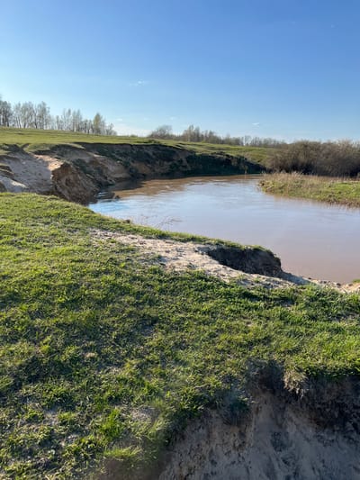 The image depicts a section of a riverbank in Voronino, Russia. The river, filled with muddy brown water, flows between steep earthen banks. On the right bank, lush green grass covers the higher ground, contrasting with the exposed tan soil of the eroding bank. The left bank also features trees and vegetation along the river, extending towards the horizon under a clear blue sky. The scene suggests natural erosion processes at work along the river's edge. No people or animals are visible.