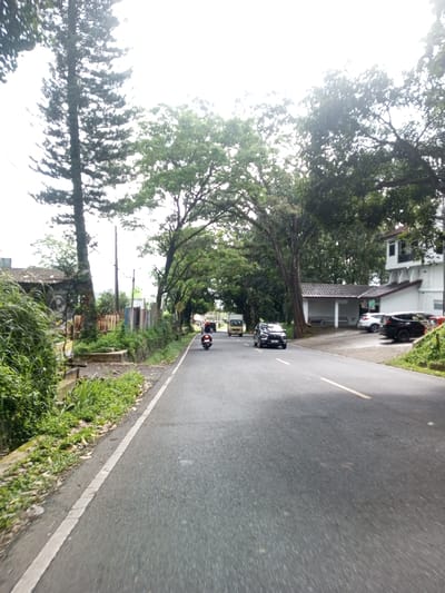 The image depicts a daytime street scene in Domphoog_Dungkarchhoeling, Bhutan, under an overcast sky. A two-lane asphalt road extends from the foreground into the distance, with a continuous white line marking its left edge and a broken yellow line indicating the center for two-way traffic.
On the left side of the road, dense green vegetation, including tall grass and small plants, lines a drainage ditch or culvert. Behind this vegetation, a low barrier or fence constructed from corrugated metal and other materials is visible. Further left, a tall, slender coniferous tree stands prominently, while several utility poles with overhead lines are spaced along the roadside. A yellow diamond-shaped road sign is mounted on a pole further down the left side.
On the right side of the road, lush green trees form a partial canopy overhead, arching towards the road. Further into the scene, a white, single-story building with a brown tiled roof and open arches is situated off the road, functioning as a shelter or small structure. Adjacent to it, a paved parking area contains several parked vehicles, including a dark SUV/sedan, a white car, and a red car. Behind this structure, a multi-story white building with visible windows is present.
Traffic is observed on the road. A dark-colored motorcycle, operated by a single rider wearing a dark helmet, travels away from the viewer in the left lane. Further ahead in the same lane, a light-colored van proceeds in the same direction. In the right lane, a dark-colored SUV or sedan travels towards the viewer, with its headlights illuminated.