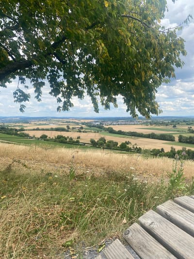The image depicts a scenic view from a hilltop overlooking the town of Löchgau, Germany. In the foreground, a wooden bench is partially visible on the right, made of weathered planks. The ground in front of the bench is covered with dry grass, weeds, and scattered small white flowers. A large tree with green leaves partially shades the upper portion of the image, its branches extending into the frame from the left.
The middle ground reveals a landscape of rolling hills and agricultural fields. The fields display a patchwork of golden-brown stubble, indicating harvested crops, and areas of green vegetation, possibly vineyards or other crops. Numerous trees are scattered throughout the fields and along their borders.
In the distance, the town of Löchgau is visible, with its buildings and structures spread across the landscape. The background is dominated by a cloudy sky, with patches of blue peeking through. The overall impression is one of a rural, countryside vista, likely captured on a slightly overcast day.