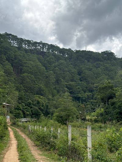 A dirt path extends into the distance along a fence line, bordered by lush vegetation and a dense, tree-covered hillside. Overcast skies cover the area. The location is Păng Tiêng 1, Vietnam.