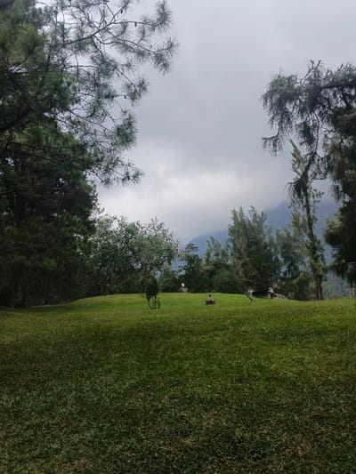 A serene, green landscape features a grassy hill dotted with trees and figures. The dense grass leads the eye up to a gentle slope, where indistinct individuals are visible, possibly relaxing. Lush trees frame the scene on either side, partially obscuring a hazy mountain backdrop. The sky is overcast, lending a soft, diffused light to the idyllic scenery.