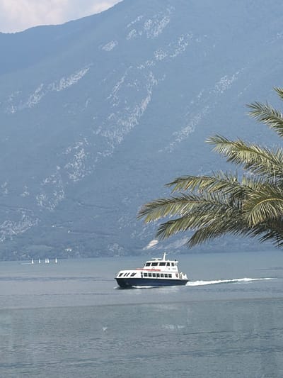 This media file captures a serene scene on a body of water, likely a lake, with a majestic mountain range as a backdrop. The time of day appears to be daytime, with the sun casting a soft light, creating a slightly hazy atmosphere that softens the distant landscape. A modern white ferry, characterized by its multiple windows and dark trim, is the primary object of interest, cruising across the water and leaving a visible wake. Along the distant shoreline, a lush green landscape suggests a temperate climate, and a few scattered sailboats can be seen, adding to the tranquil ambiance. A prominent palm frond hangs into the frame from the top left, adding a tropical touch to the otherwise mountainous and lakeside setting. The overall mood is one of peacefulness and natural beauty. No visible text is present in the image.
