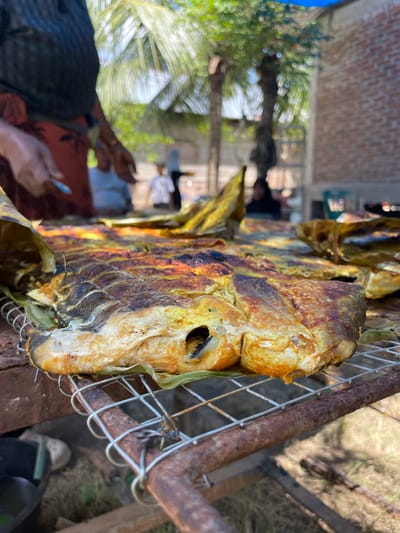 In Keureusek, Indonesia, a close-up shot focuses on a whole grilled fish resting on a metal rack over a fire, its skin crisped and golden brown. The fish is presented on a bed of green leaves, with other grilled fish visible in the background, also wrapped in leaves. A person in the foreground, wearing a black top and an orange skirt, is holding a utensil, possibly preparing the fish. In the blurred background, other individuals are seen amidst palm trees and brick structures, suggesting an outdoor setting. The scene captures a moment of food preparation and outdoor dining.