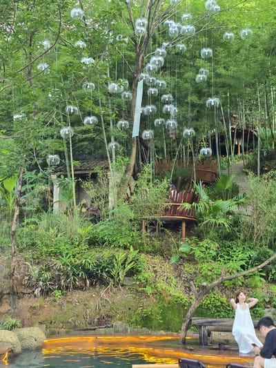 In Xiaoshan District, China, a woman in a white dress poses by a body of water that is illuminated with orange lights. She is seated on a wooden bench near a tree. In the background, there is a lush green forest with bamboo trees and an elaborate wooden structure. White, dandelion-like decorations hang from the trees, adding to the ethereal atmosphere of the scene.