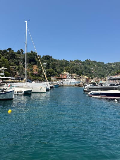 This is a vertical, eye-level, outdoor shot of a harbor in Portofino, Italy, on a sunny day. The scene is dominated by the clear blue sky and the turquoise water of the harbor. Several boats are docked, including sailboats with tall white masts, and smaller motorboats. The boats are lined up along a waterfront promenade lined with colorful buildings. The buildings are a mix of residential and commercial properties, with some featuring balconies and window boxes. Behind the buildings, a lush green hillside rises steeply, covered with trees and vegetation.
In the foreground, the water is calm with gentle ripples. A yellow buoy floats in the water to the left. To the right, a white buoy is partially submerged. A few people are visible on the decks of some of the boats, and on the shore. The overall impression is one of a picturesque and serene Mediterranean town.