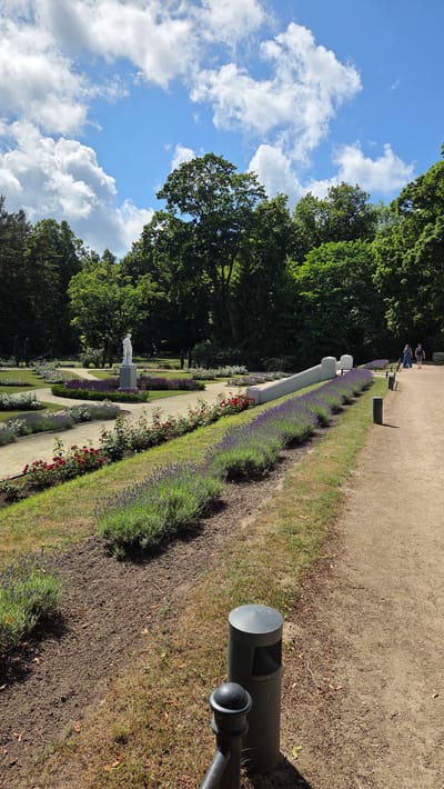 This image depicts a sunlit garden path in Palanga, Lithuania. The scene is characterized by lush greenery, with tall, leafy trees forming a backdrop on the left and a manicured garden stretching along a sandy path on the right. The garden features rows of blooming lavender and red roses, bordered by grass and mulch. A white statue stands prominently amidst the flowers, and in the distance, a few people stroll along the path. The sky above is a vibrant blue, dotted with fluffy white clouds, suggesting fair weather. A dark, cylindrical trash receptacle is visible in the foreground on the right. The overall impression is one of a serene and well-maintained outdoor space on a pleasant day.