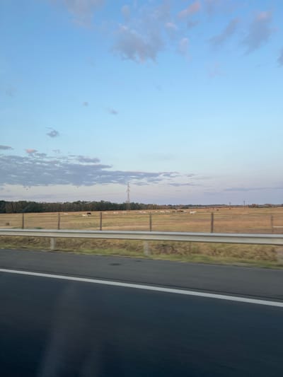 The image depicts a rural landscape at dusk near Balástya, Hungary, as viewed from a moving vehicle on a road. The foreground is dominated by the dark asphalt of the road, with a white line marking the lane. A silver guardrail separates the road from a dry, grassy field. Beyond the field, a line of trees forms the horizon. The field itself is populated by a herd of horses, mostly white, grazing. A single dark-colored horse stands among them. A tall electricity pylon is visible in the middle ground, and further back, telephone poles can be seen. The sky is a pale blue with wispy clouds tinged with pink, indicating the setting sun. The overall impression is one of peaceful, open country.