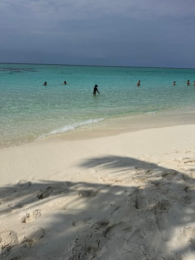 A beach scene shows several people wading in clear, shallow water along the shore. The sand transitions from white near the water to a darker, textured patch, marked with footprints and a tree shadow. The sky is overcast, and the perspective is angled, with the horizon and shoreline running vertically.