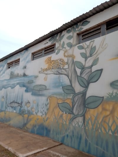 The image shows a mural painted on the exterior wall of a building. The mural depicts a natural scene with a leopard perched on a tree branch, a body of water with fish, and vegetation. The building appears to be a simple structure with a corrugated metal roof and windows. The area in front of the building is paved and appears to be a walkway or outdoor space. The style of the mural suggests it is a decorative element for the building. Without further information or context, it is impossible to pinpoint its exact location within Cuiabá, Brazil.