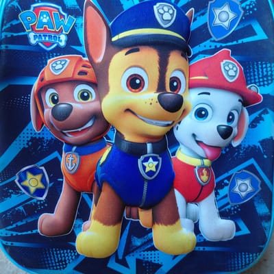 The media file features three stuffed toys of characters from the Paw Patrol franchise, likely a child's backpack or similar item, against a blue background with geometric patterns and Paw Patrol insignias. The characters depicted are Marshall (a Dalmatian in a firefighter uniform), Chase (a German Shepherd in a police uniform), and Rubble (an English Bulldog in a construction uniform). They are arranged in a stacked, overlapping manner, with Marshall at the top, Chase in the middle, and Rubble at the bottom.
Marshall is depicted with his mouth open and tongue sticking out, appearing playful. Chase is looking forward with a friendly expression, and Rubble is also smiling. The toys are soft and plush, with detailed facial features and their respective uniforms. The background is a vibrant blue with abstract patterns of lines, dots, and shield-shaped badges, some of which have a star or paw print emblem.
Visible text includes the "PAW PATROL" logo on a bone-shaped badge, located on the lower left side of the image. The overall impression is cheerful and playful, suggesting the item is a toy or part of a child's personal belongings. The setting appears to be indoors or in an area with ample lighting, as there are no strong shadows or indications of outdoor weather. The presence of the Paw Patrol branding strongly suggests the item is related to the popular children's show. The location context provided is Samal, Philippines.