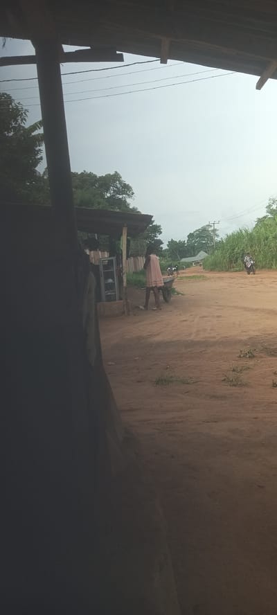 The image presents a view of a dusty, unpaved road in Amauzu, Nigeria. On the left, a structure with a corrugated metal roof and wooden supports houses a display cabinet filled with items. A girl in a pink dress stands near the structure with a wheelbarrow. Further down the road, multiple people are riding motorbikes. Lush vegetation lines the roadside. Overhead, power lines stretch across the sky, partially obscured by the corrugated metal roof of the structure from which the image is taken. The sky is overcast.