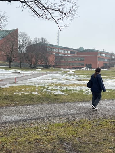 The image depicts an outdoor scene on the Aalto University campus in Otaniemi, Espoo, Finland, during late winter or early spring. The sky is overcast and uniformly grey.

In the foreground, a dark gravel path extends from the lower left towards the center-right. It is flanked by areas of green grass interspersed with patches of melting snow and ice. Several small, red marker stakes are visible in the snowy grass to the left of the path.

A single individual, seen from behind, walks right-to-left across the midground on a gravel path. The person has long, dark hair, wears dark over-ear headphones, a dark blue jacket, dark trousers, and dark sneakers with white soles. They carry a dark shoulder bag on their left side.

In the background, a complex of multi-story institutional buildings constructed of reddish-brown brick dominates the frame. These structures feature numerous windows and distinctive dark green roofs; one section on the left has a steeply sloped, angular roof, while another section further right exhibits a rounded dome-like roof. Bare deciduous trees are scattered between the paths and buildings. A faint, smaller figure is visible near the entrance of the building on the right. Directly behind the buildings, a tall, slender, white spiral-shaped tower rises into the grey sky. The ground exhibits residual snow patches on grassy areas, indicating cool temperatures.